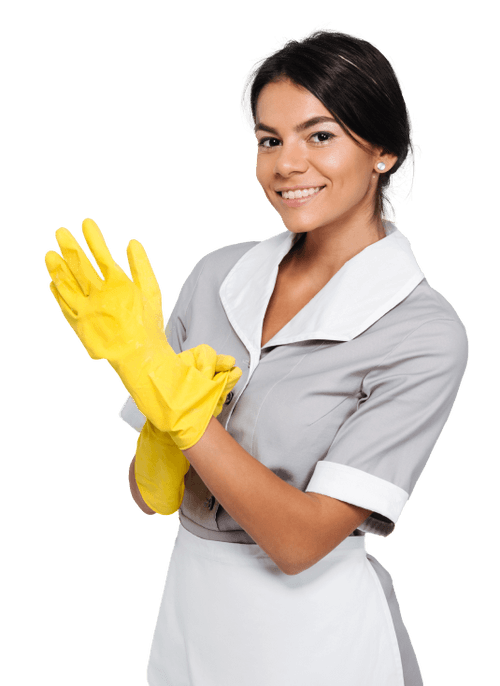 Why Do Dogs Like Squeaky Toys? The Real Reason Homeaglow